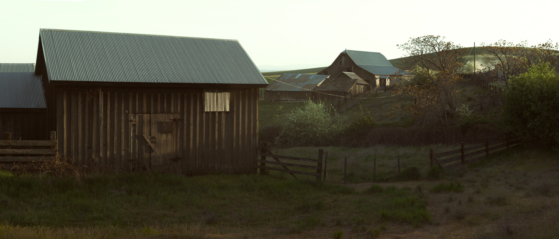 Frontier_Woodman-3