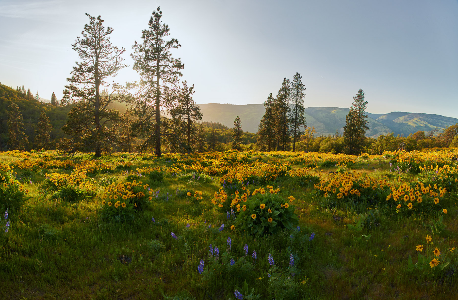 Untitled_Panorama1