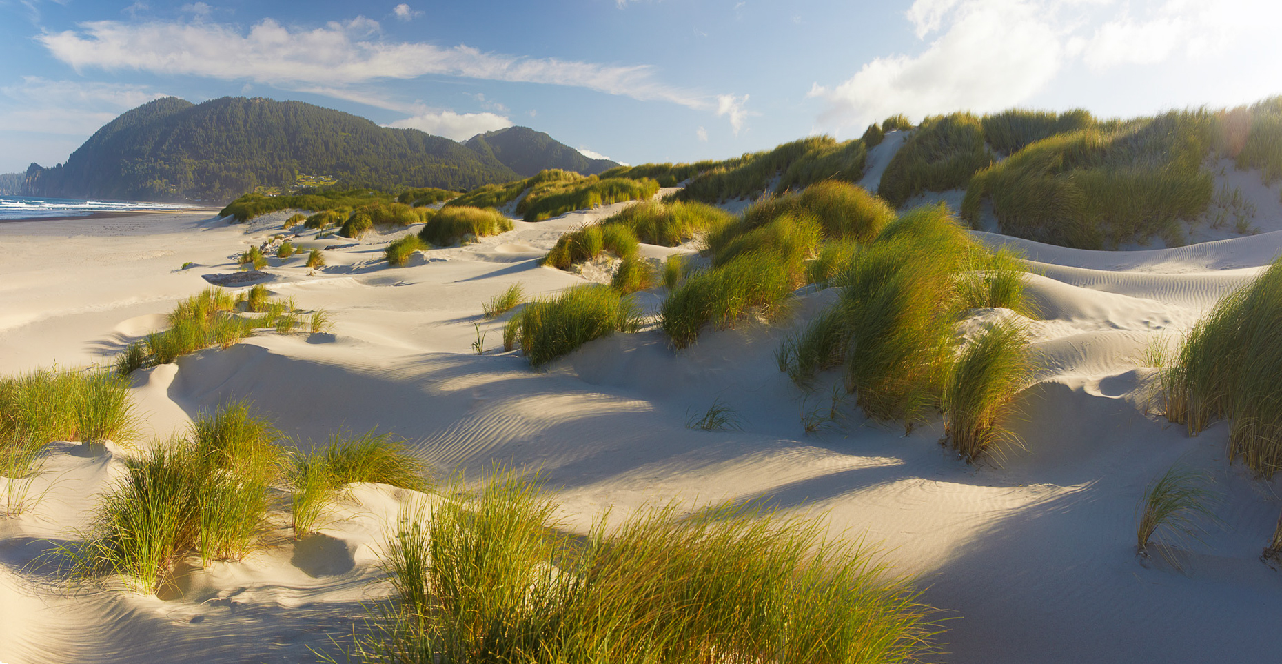 dunes_Woodman2