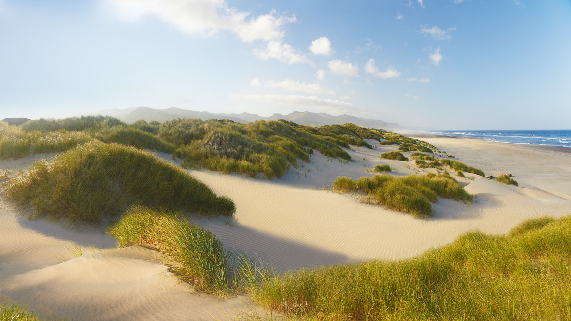 dunes_woodman